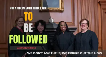 Federal Judges: Enforcing Laws, Ensuring Compliance