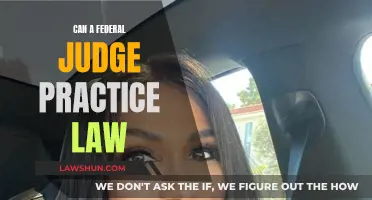 Federal Judges and Legal Practice: Exploring the Limits