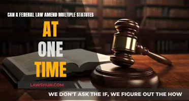 Federal Law Amendments: Multiple Statutes, Single Change