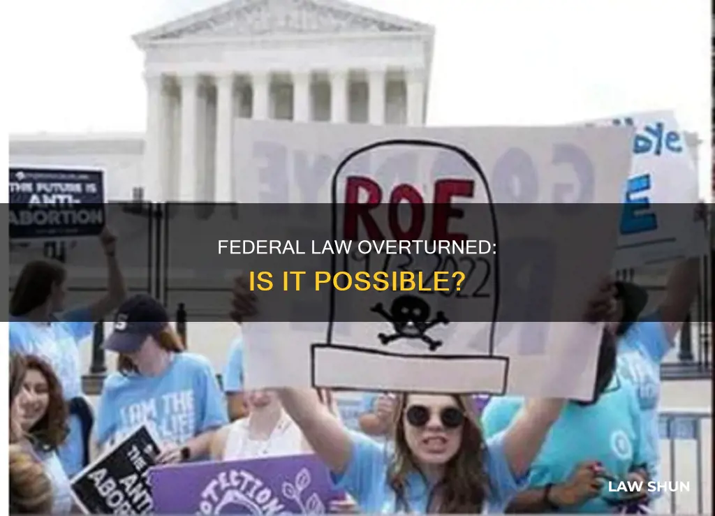 can a federal law be overturned