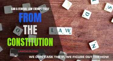 Federal Law: Exempt from the Constitution?