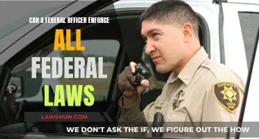 Federal Officers: Enforcing All Federal Laws?