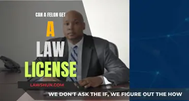 Can Felons Pursue a Law License?