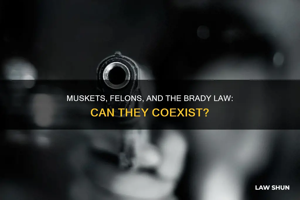 can a felon own a musle loader brady law