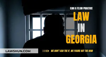 Felons and Legal Practice: Georgia's Unique Stance