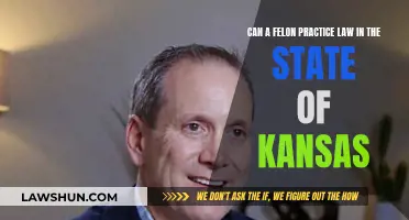 Felons and Law Practice: Kansas-Specific Rules and Regulations