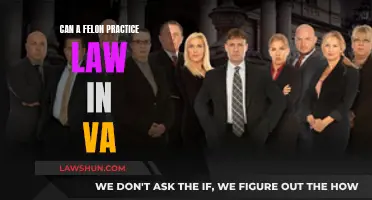 Felons and Legal Practice: Virginia's Unique Case