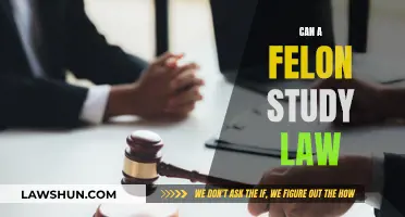Felons and Law: Can They Study It?