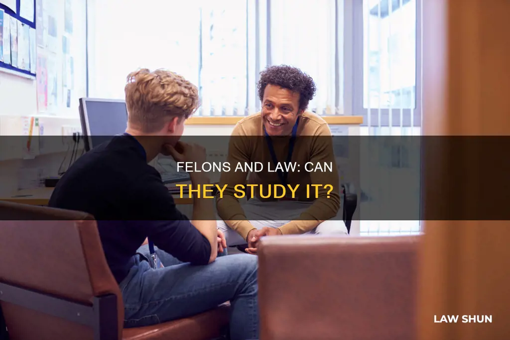can a felon study law