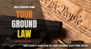 Felons and "Stand Your Ground": What's the Law?