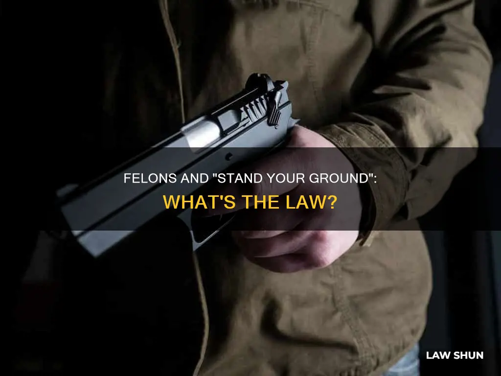 can a felon use stand your ground law