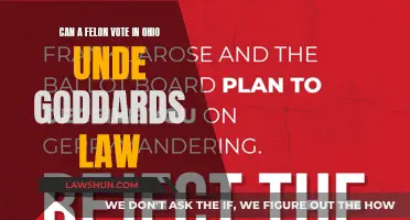 Felons' Voting Rights Restored in Ohio Under Goddard's Law