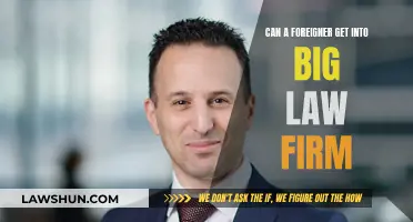 Breaking into Big Law: Foreigners' Chances