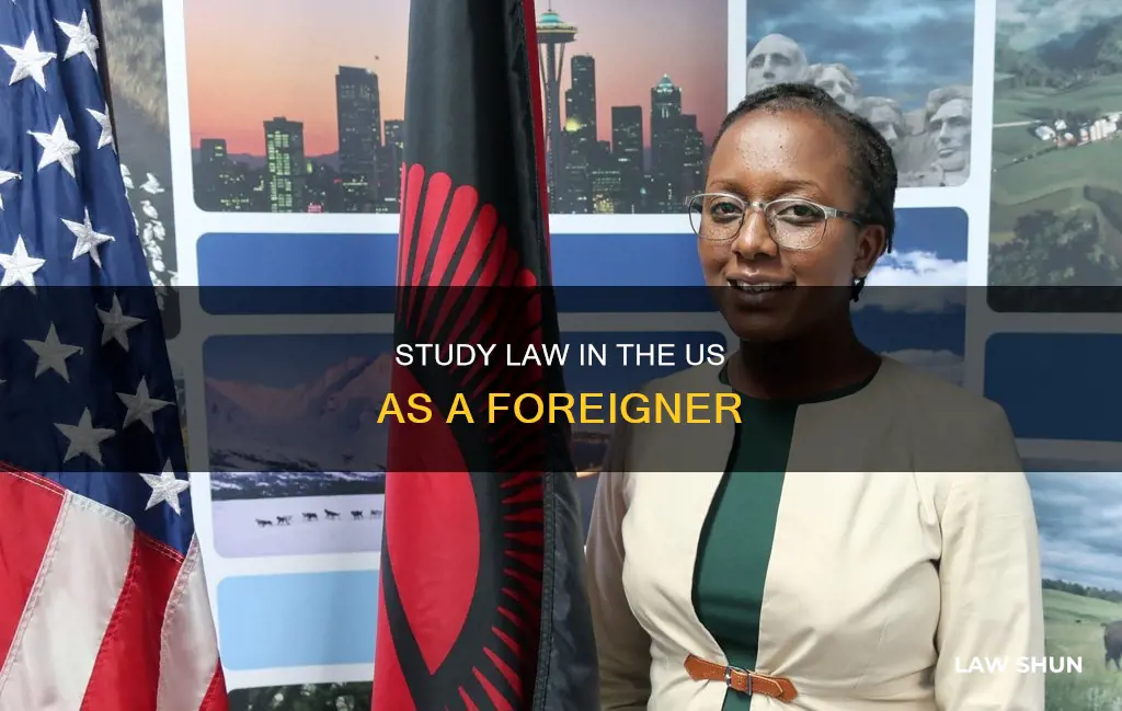 can a foreigner study law in the us