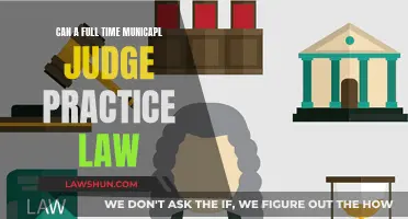 Full-Time Judges: Can They Practice Law?