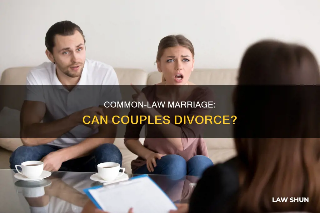 can a husband and wife divorce in common law marrage
