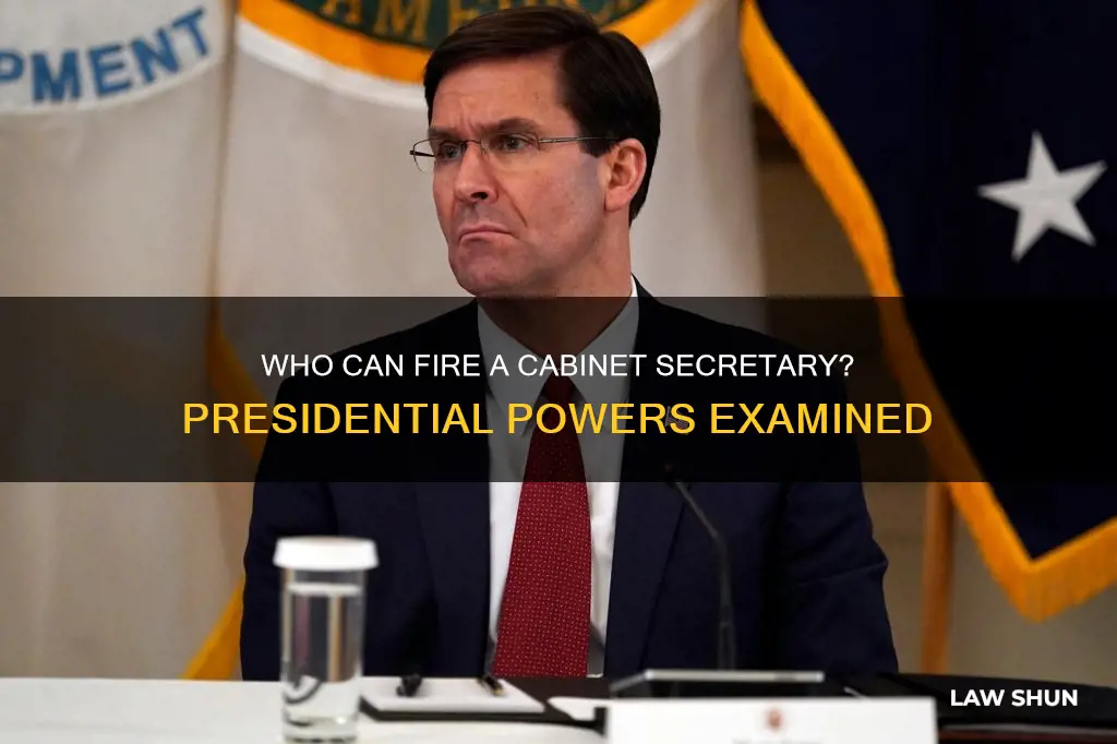 can a president lawfully fire a cabinet secretary