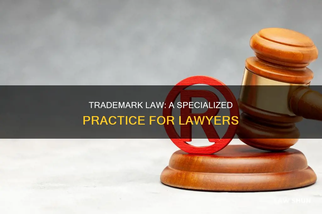 can any lawyer do trademark law