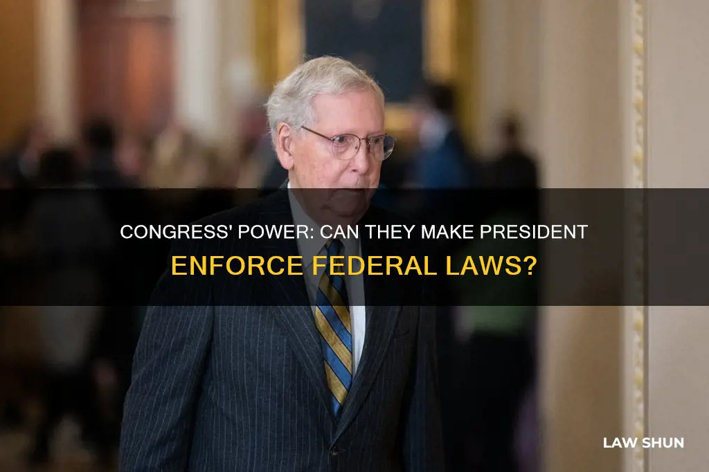 can congress force the president to enforce federal laws
