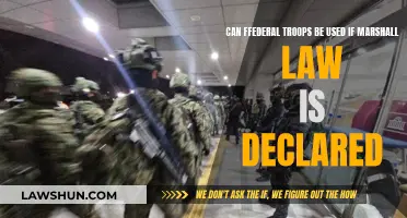 Federal Troops: Marshall Law Declaration and Deployment