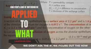 Fick's Law: Applicable to What?