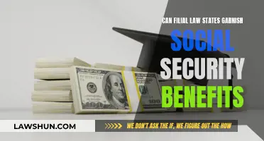 Filial Law States: Can They Garnish Your Social Security?