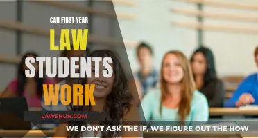 Law Students: Working in the First Year
