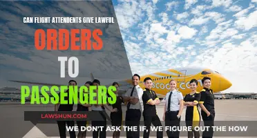 Flight Attendants: Lawful Orders and Passenger Compliance