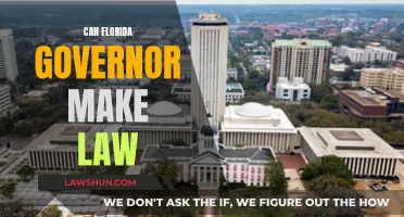 Florida Governor's Lawmaking Powers: Explained