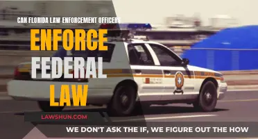 Florida's Law Enforcement: Federal Law Jurisdiction?