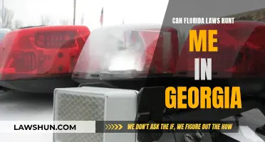 Laws and Borders: Florida vs. Georgia