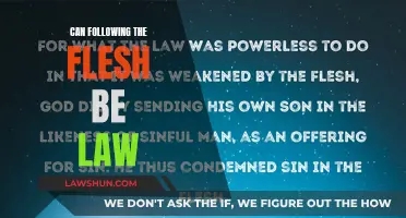The Flesh and Law: Enemies of Each Other