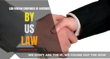 Foreign Companies: Bound by US Law?
