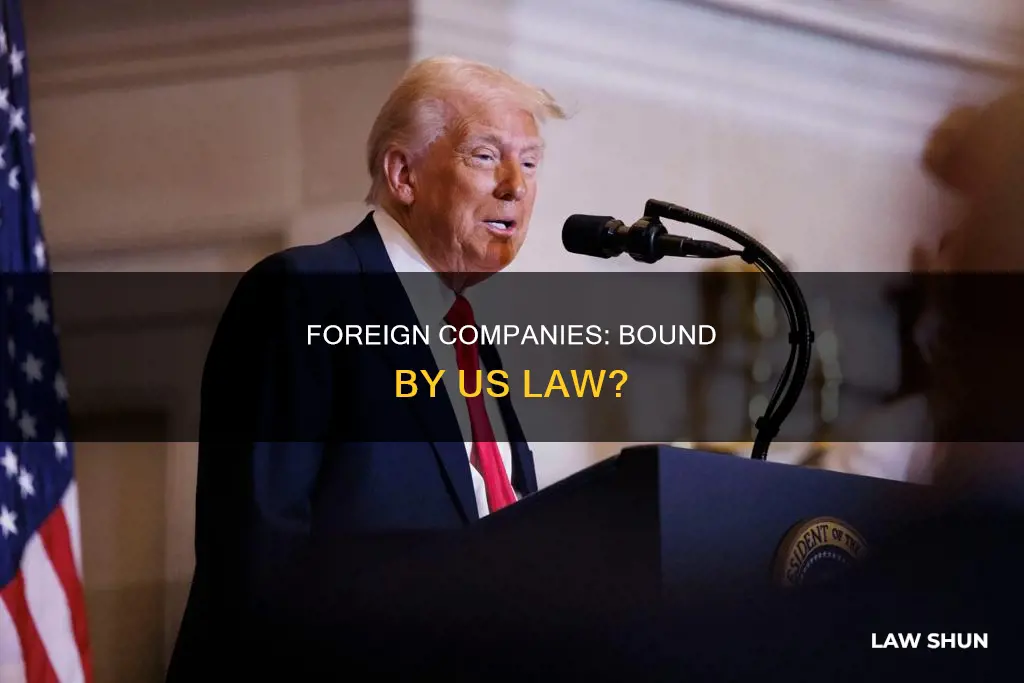 can foreign companies be governed by us law