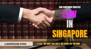 Foreign Lawyers Practicing in Singapore: What's the Law?