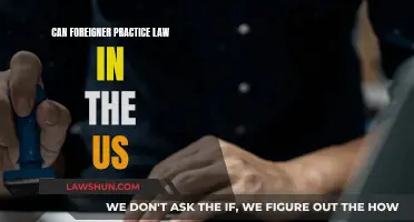 Foreign Lawyers in the US: Can They Practice?