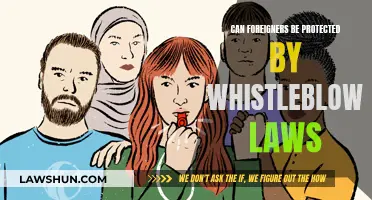 Foreign Whistleblowers: Protected by Law?