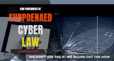Foreigners and Subpoenas: Cyber Law's Global Reach