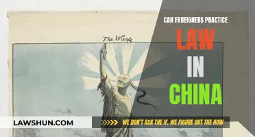 Foreigners Practicing Law in China: Is It Possible?