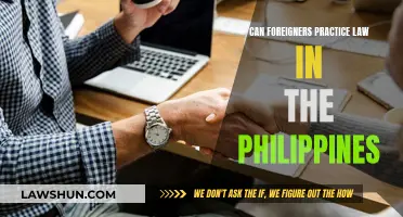 Foreigners Practicing Law in the Philippines: Is It Possible?