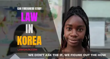 Study Law in Korea: Options for Foreigners