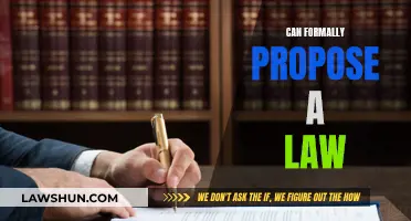 How to Propose a Law: A Step-by-Step Guide