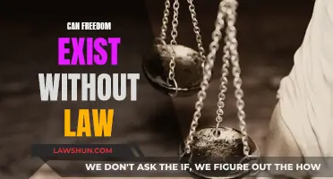 Freedom and Law: Antithetical or Interdependent?
