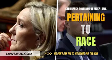 French Law and Race: Can the Government Legislate?