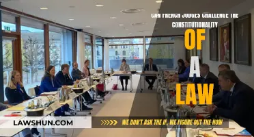 French Judges: Can They Challenge Constitutionality of Laws?