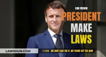 The French President's Power: Creating Laws?