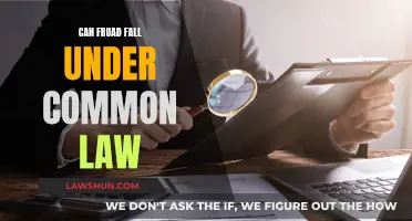 Common Law and Fraud: What's the Verdict?