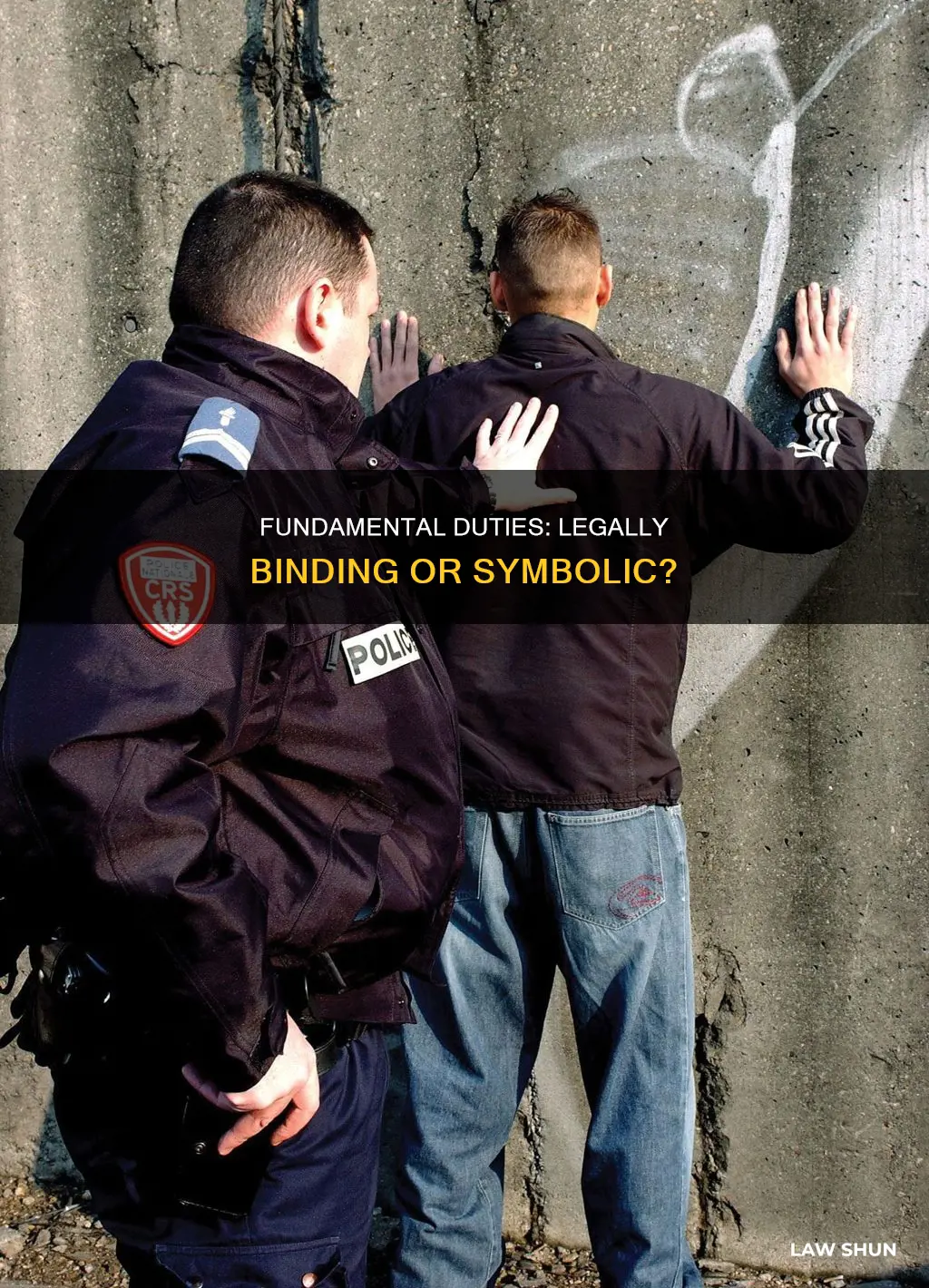 can fundamental duties be enforced by law