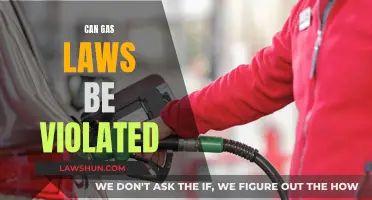 Gas Laws: Immutable or Flexible?