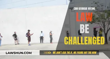 Challenging Georgia's Voting Law: Is It Possible?